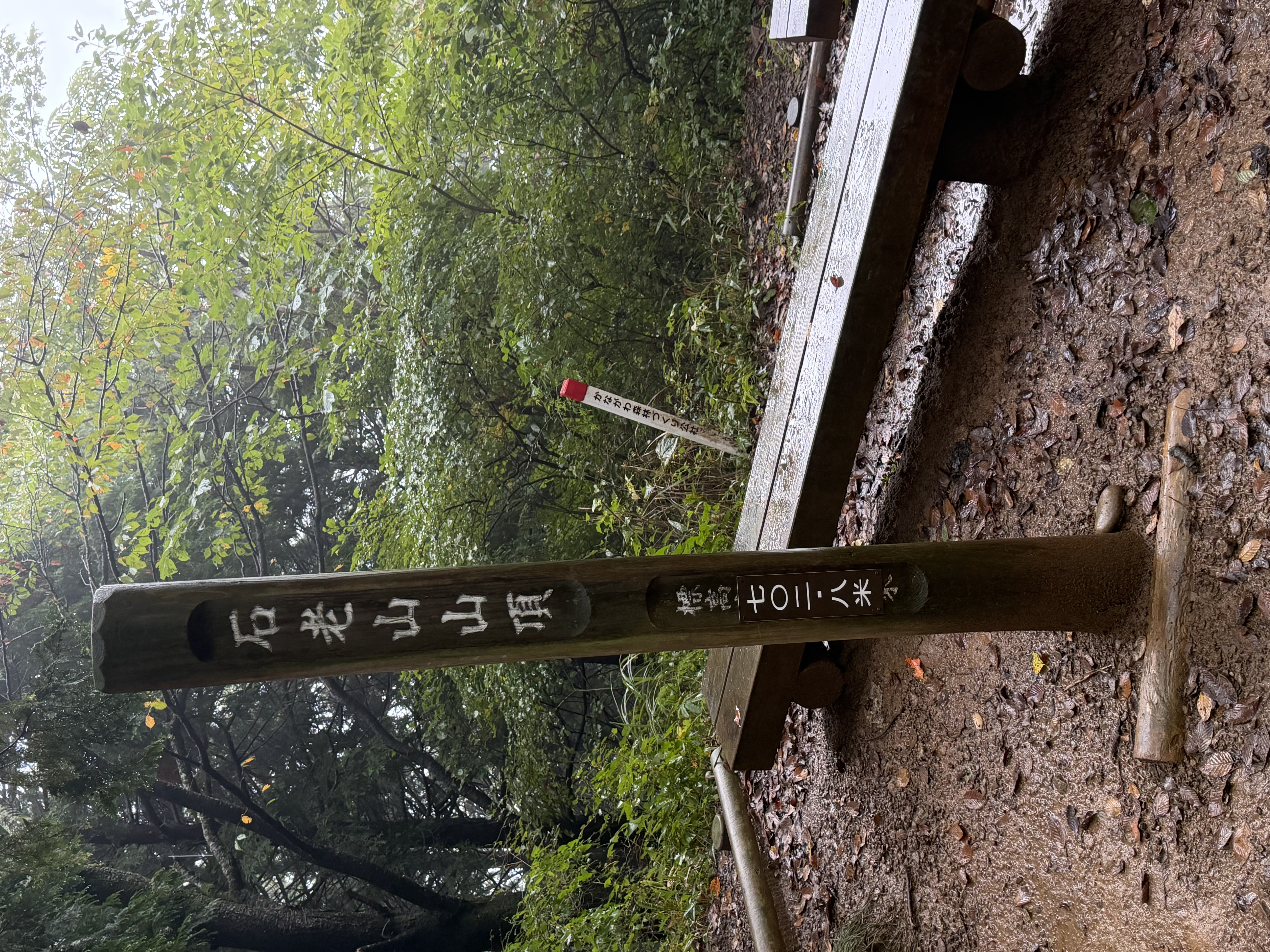 Mt. Sekiro summit in rain and fog