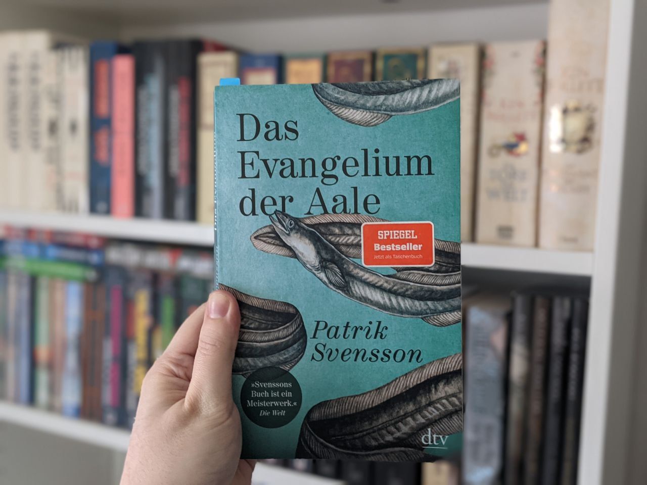 Patrick Svensson - Das Evangelium der Aale