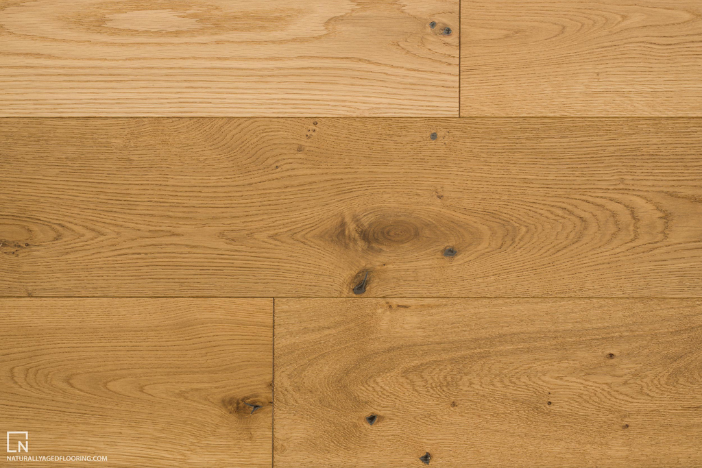 Donar Oak
