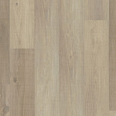 Coronado Oak