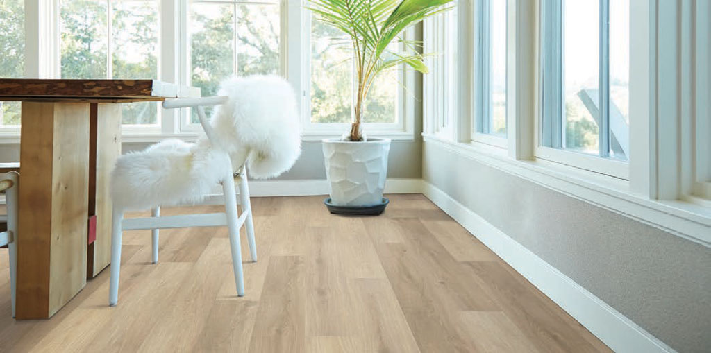 Coronado Oak view 2