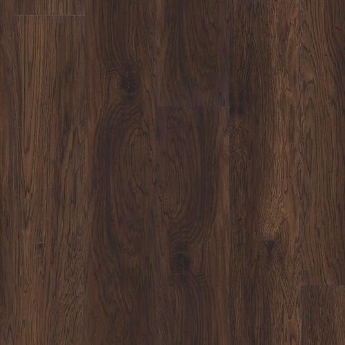 Coffee Hickory