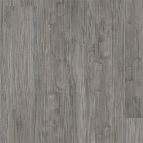 Graphite Acacia