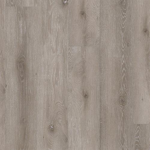 Shadow Oak