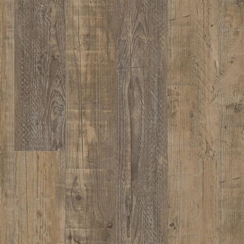 Parchment Oak