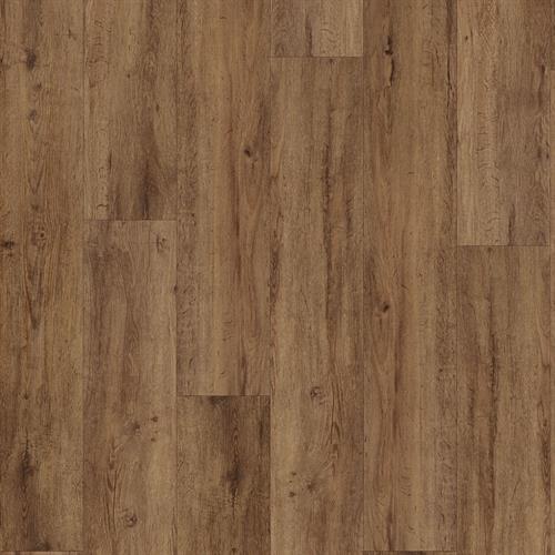 Gunstock Oak