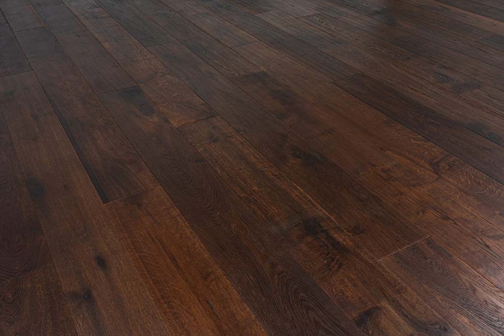 Tortoise Shell view 3