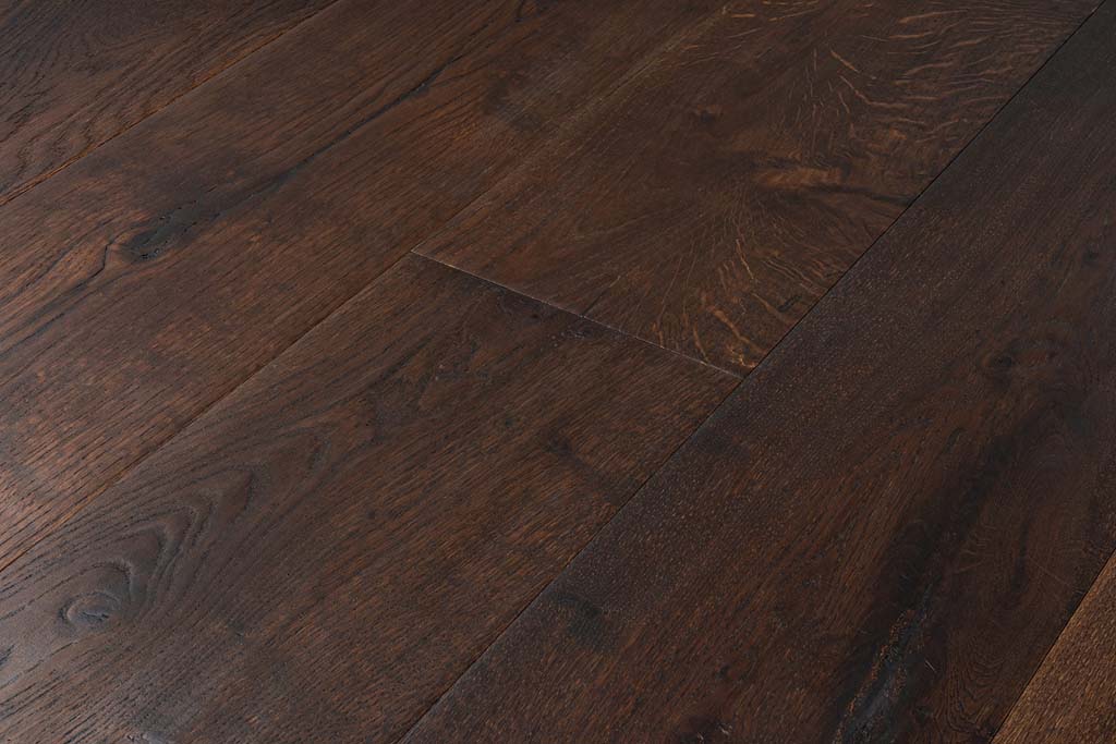 Tortoise Shell view 4