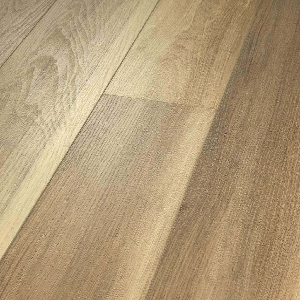 Shawshank Oak