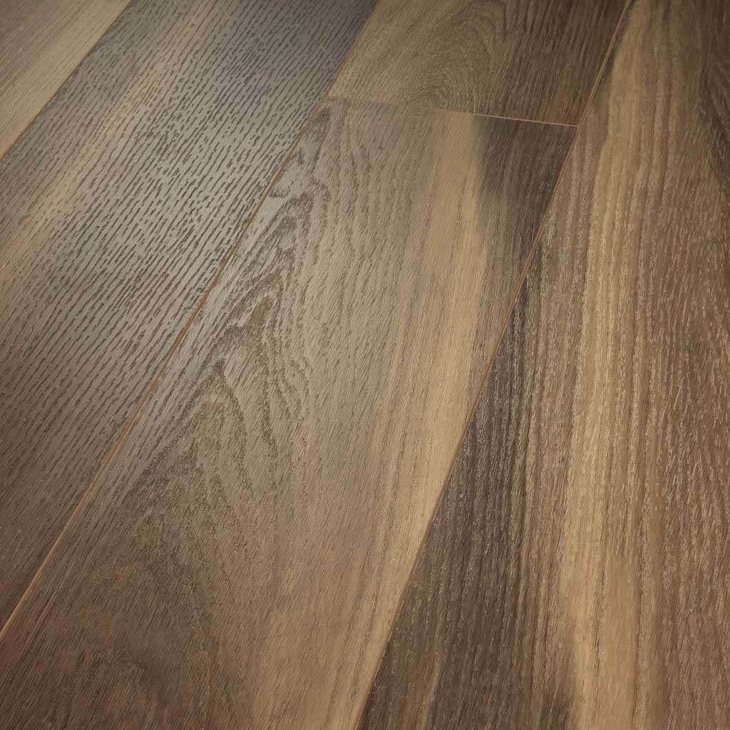 Ravine Oak