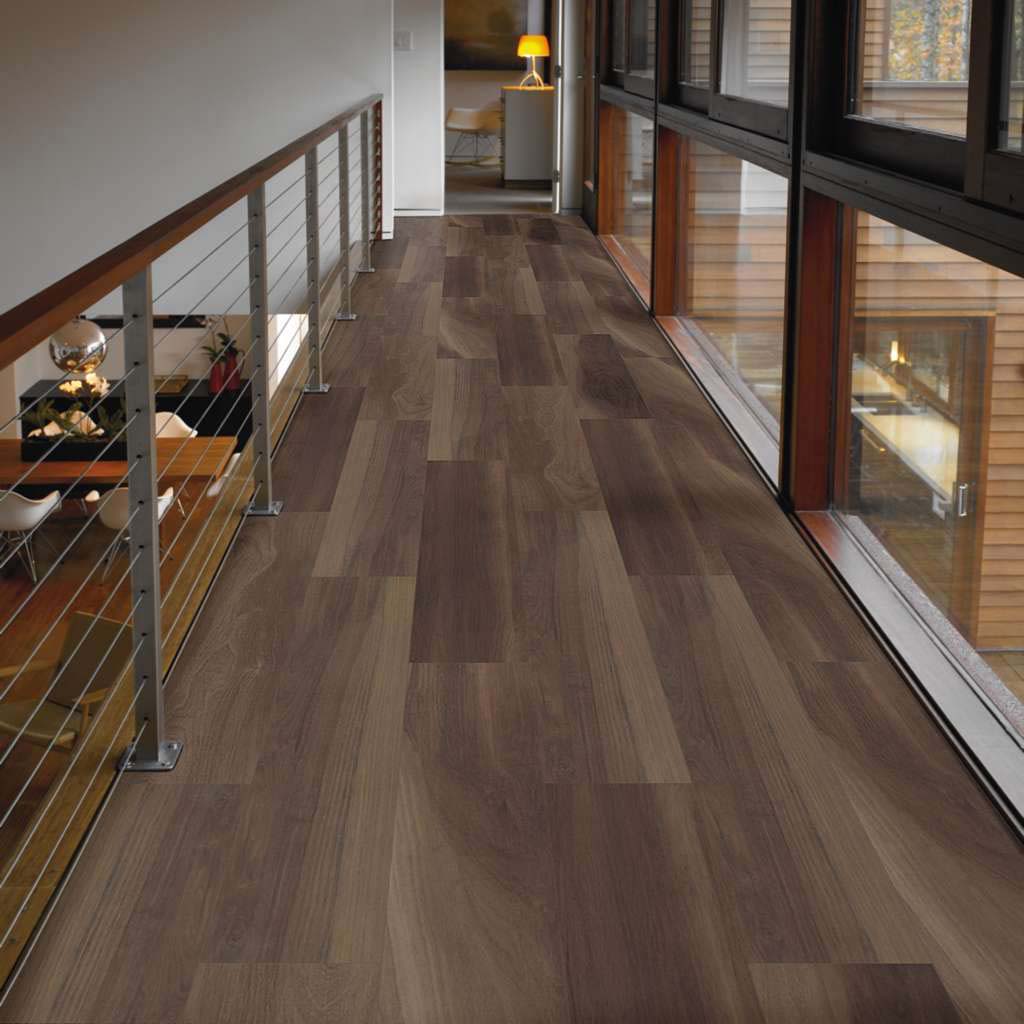 Ravine Oak view 3