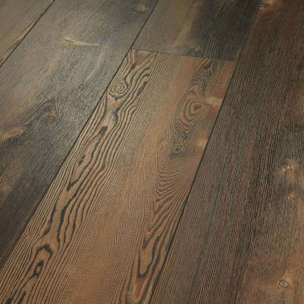 Forest Pine