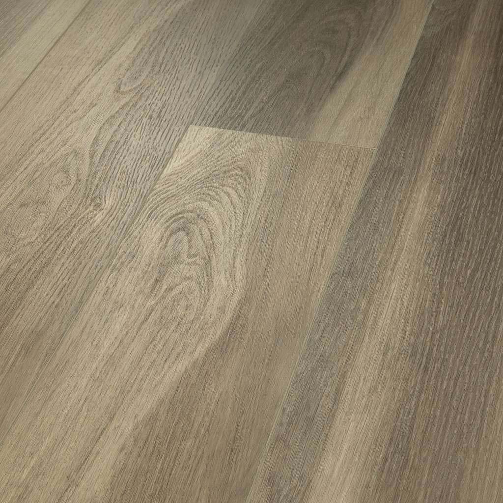 Chestnut Oak