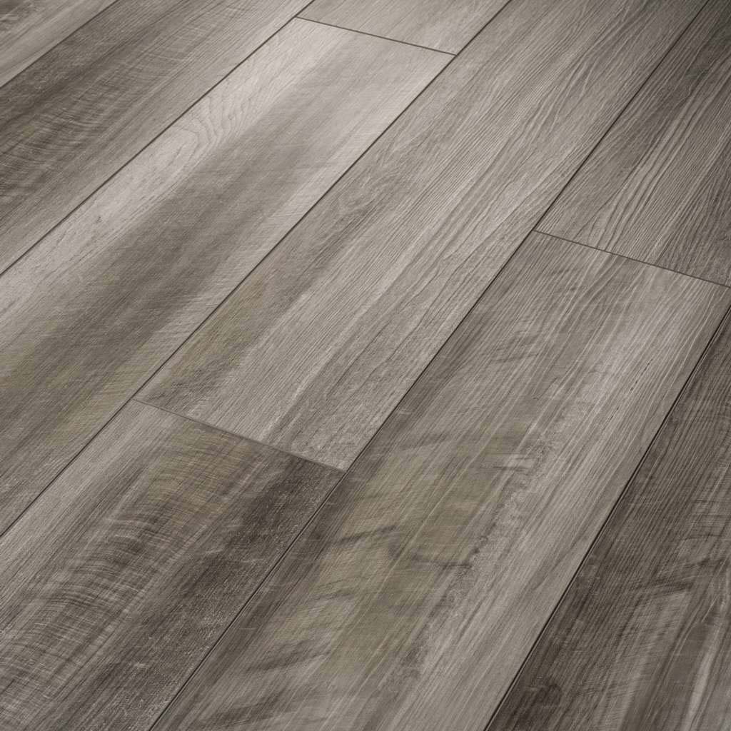 Oyster Oak