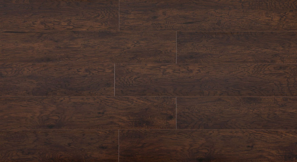 Roma view 2