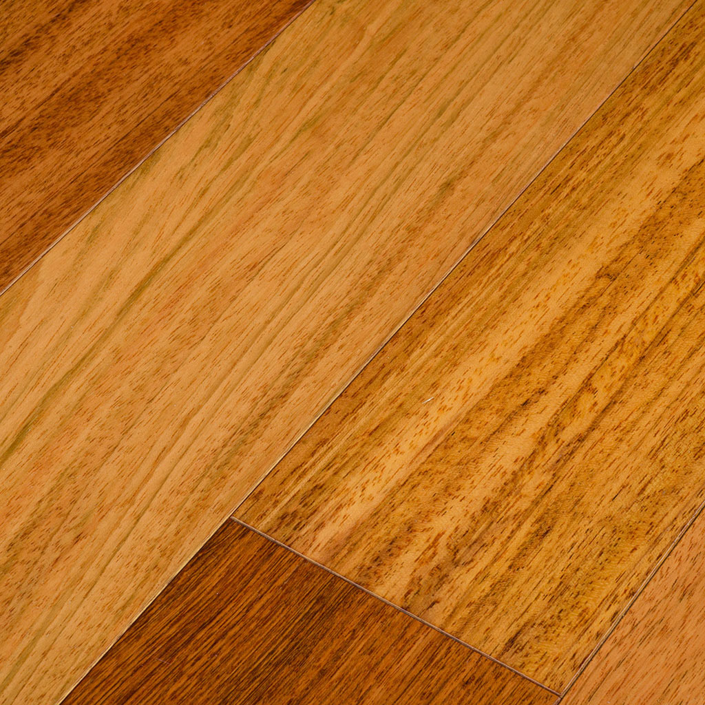 Brazilian Cherry Natural view 2