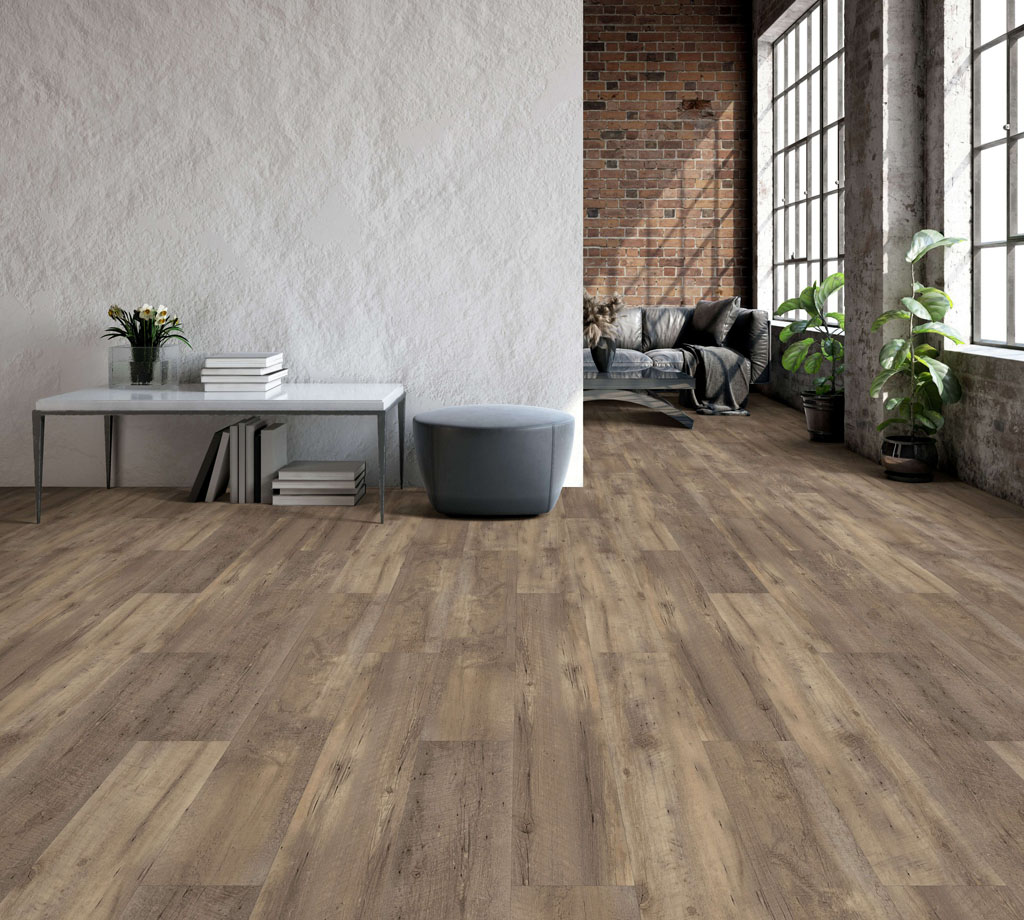 European Oak view 2