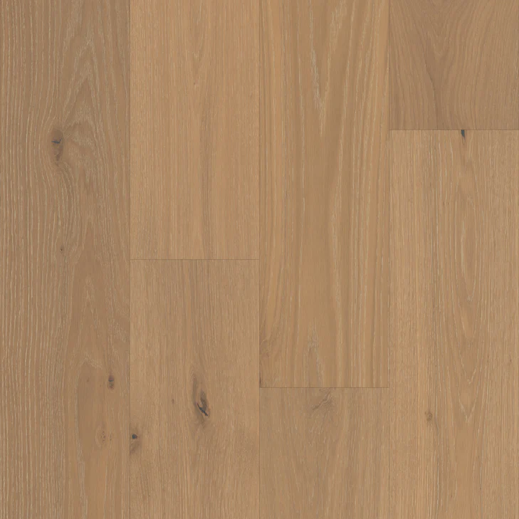 Sonoran Oak