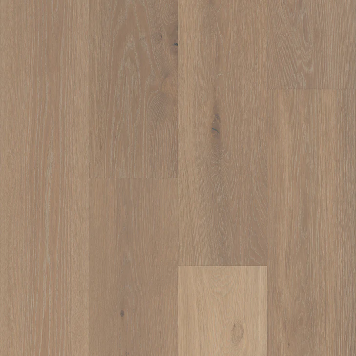 Ibelin Oak
