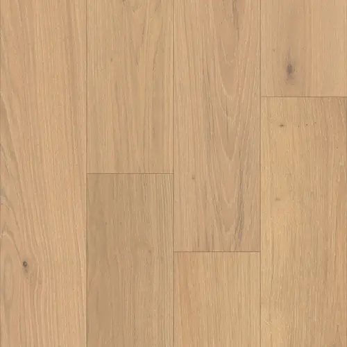 Odyssey Oak