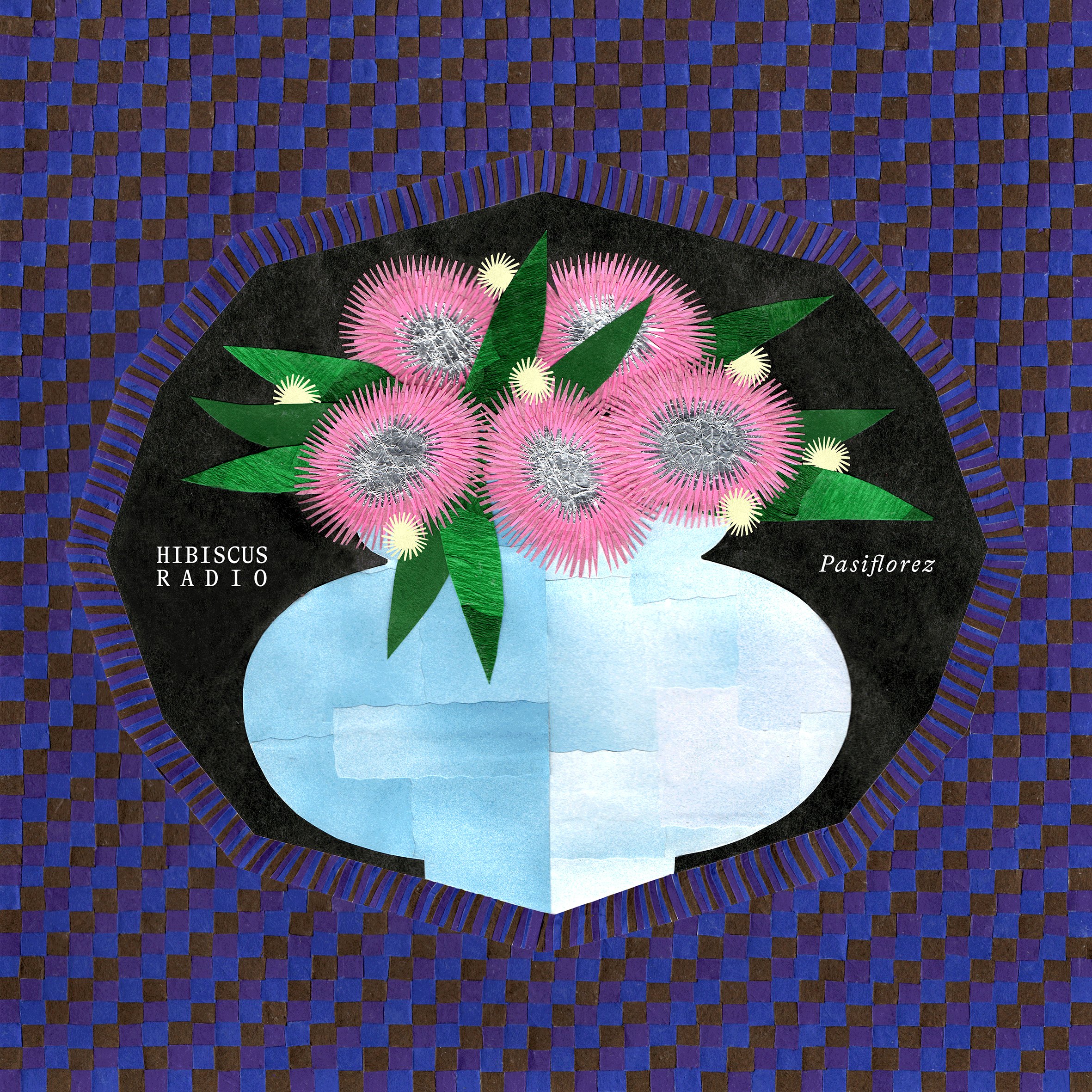 Pasiflorez 'Hibiscus Radio' — project cover
