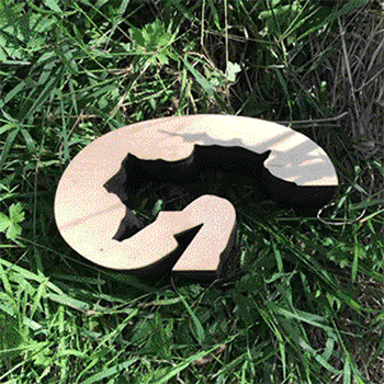 Garden Department — project cover