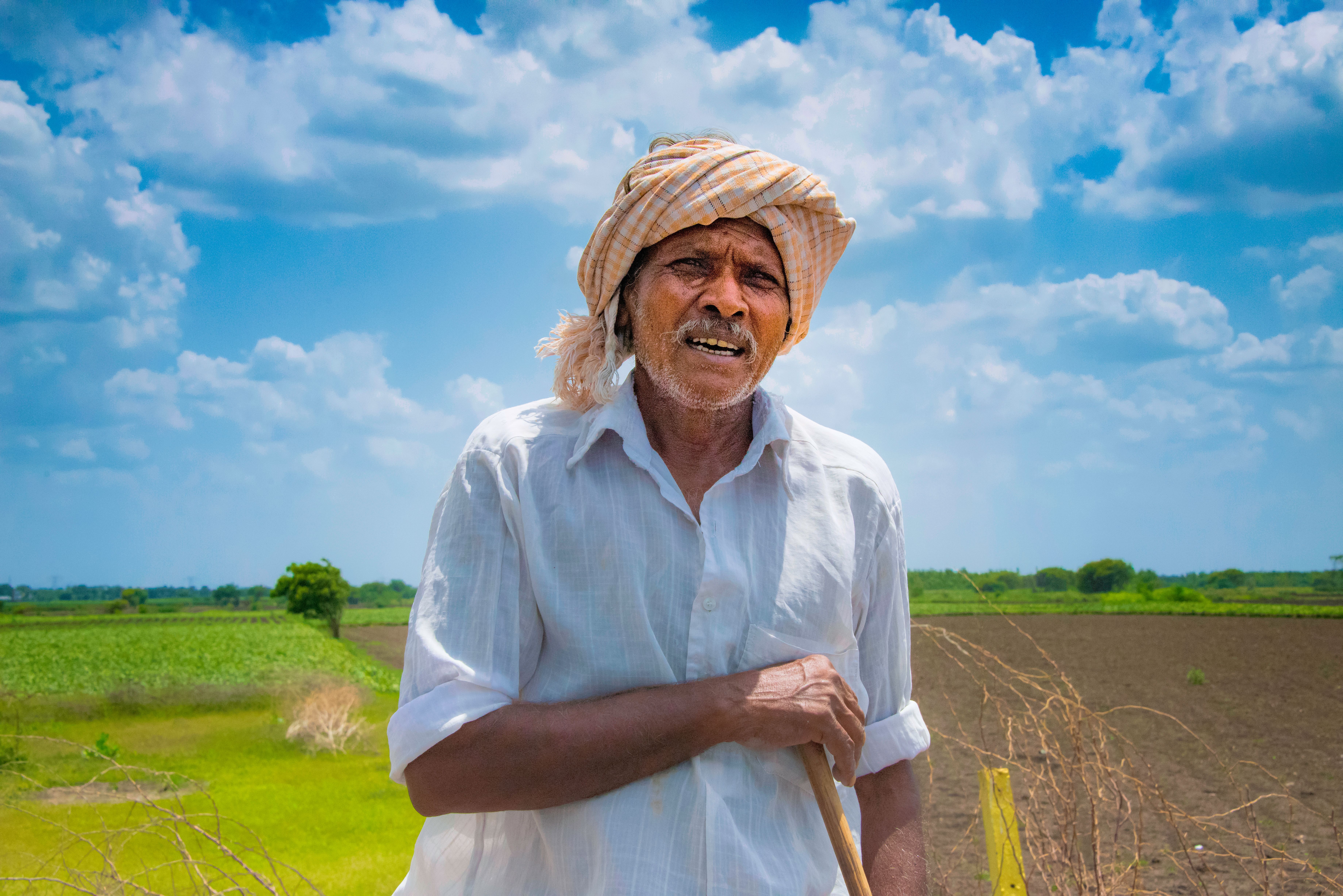 Rich Indian farm soil growth indicating strong agricultural heritage