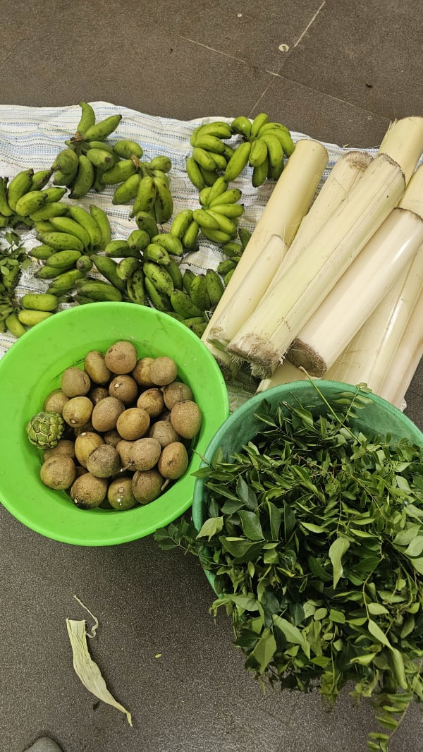 Fresh Fruits