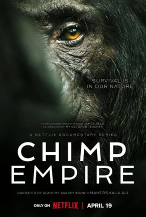 Chimp Empire series thumbnail