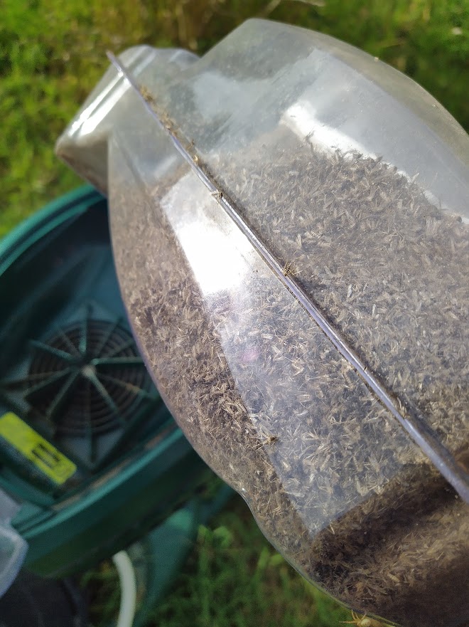 Un exemple de capture sur un filet de Mosquito Magnet Executive sur Arles (13)
