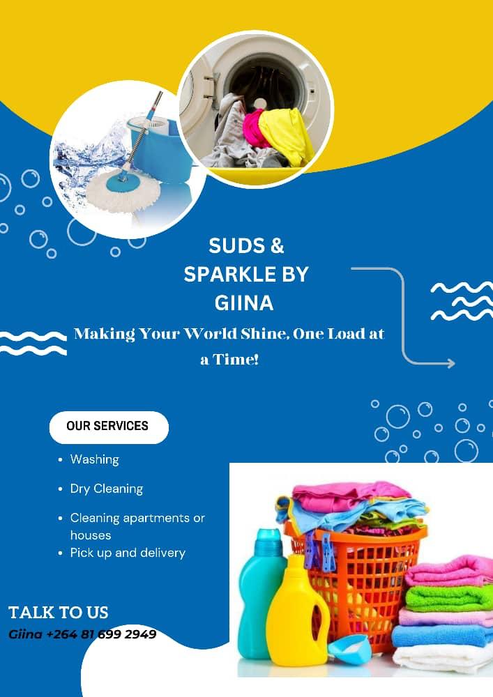 Image for Suds and sparkle 