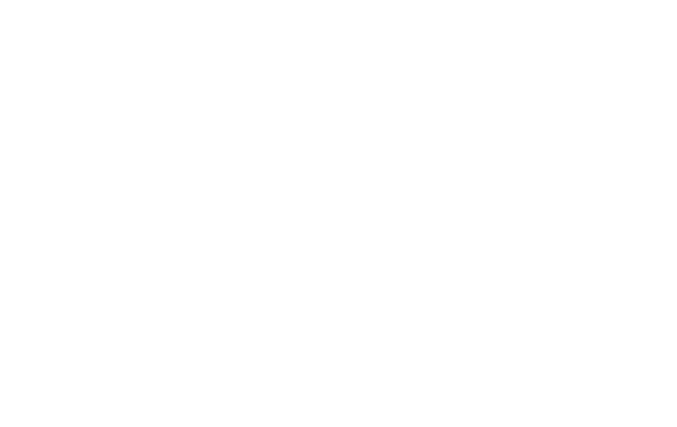 Ehrlich Financial Group