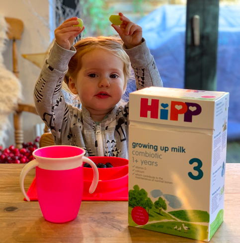 Hipp Organic Growing Up Milk