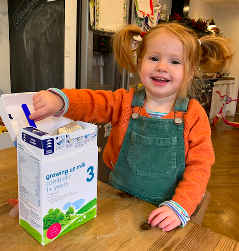 Hipp Organic Growing Up Milk