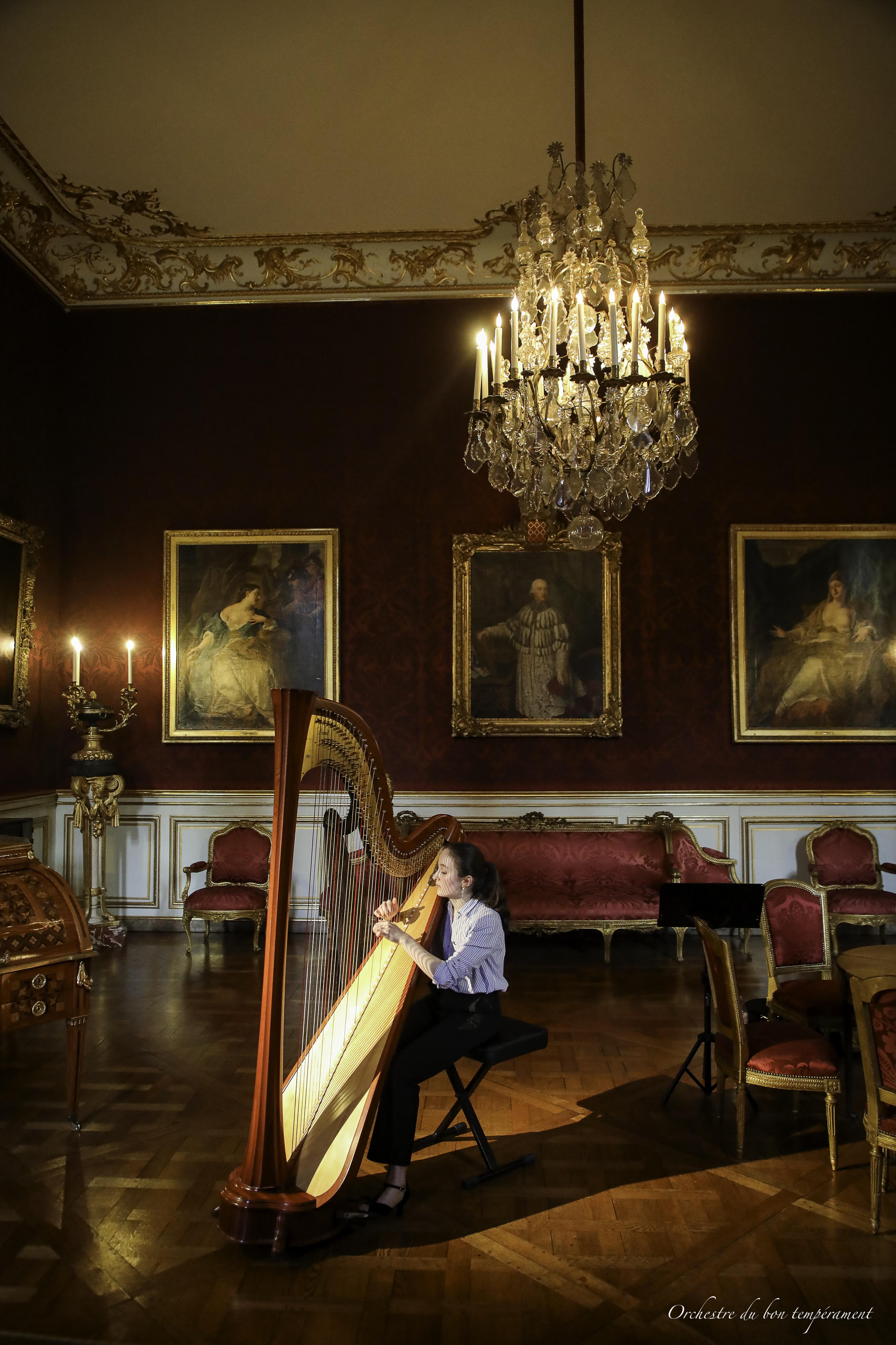 Image du concert Déambulation nocturne Palais des Rohan