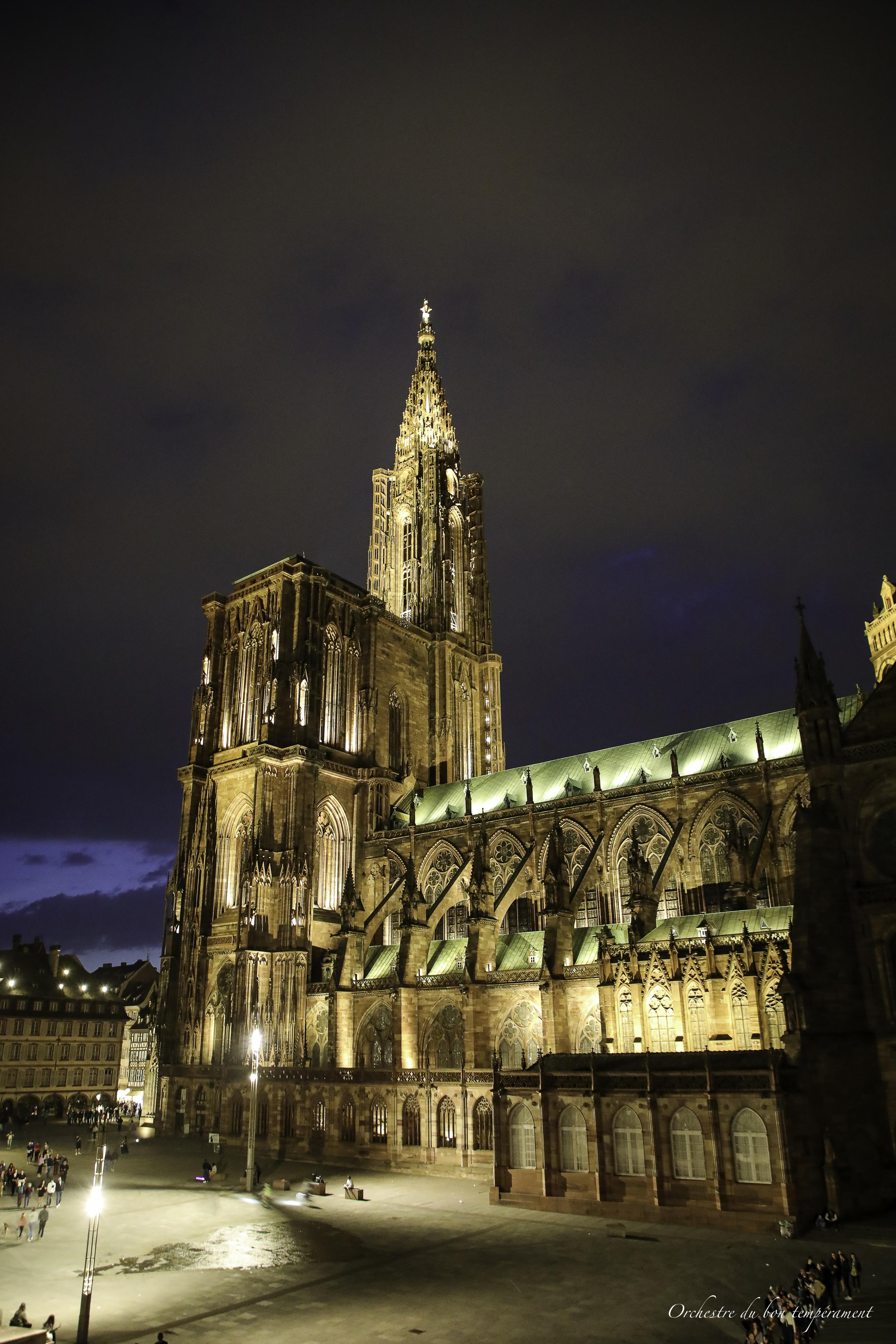 Image du concert Déambulation nocturne Palais des Rohan