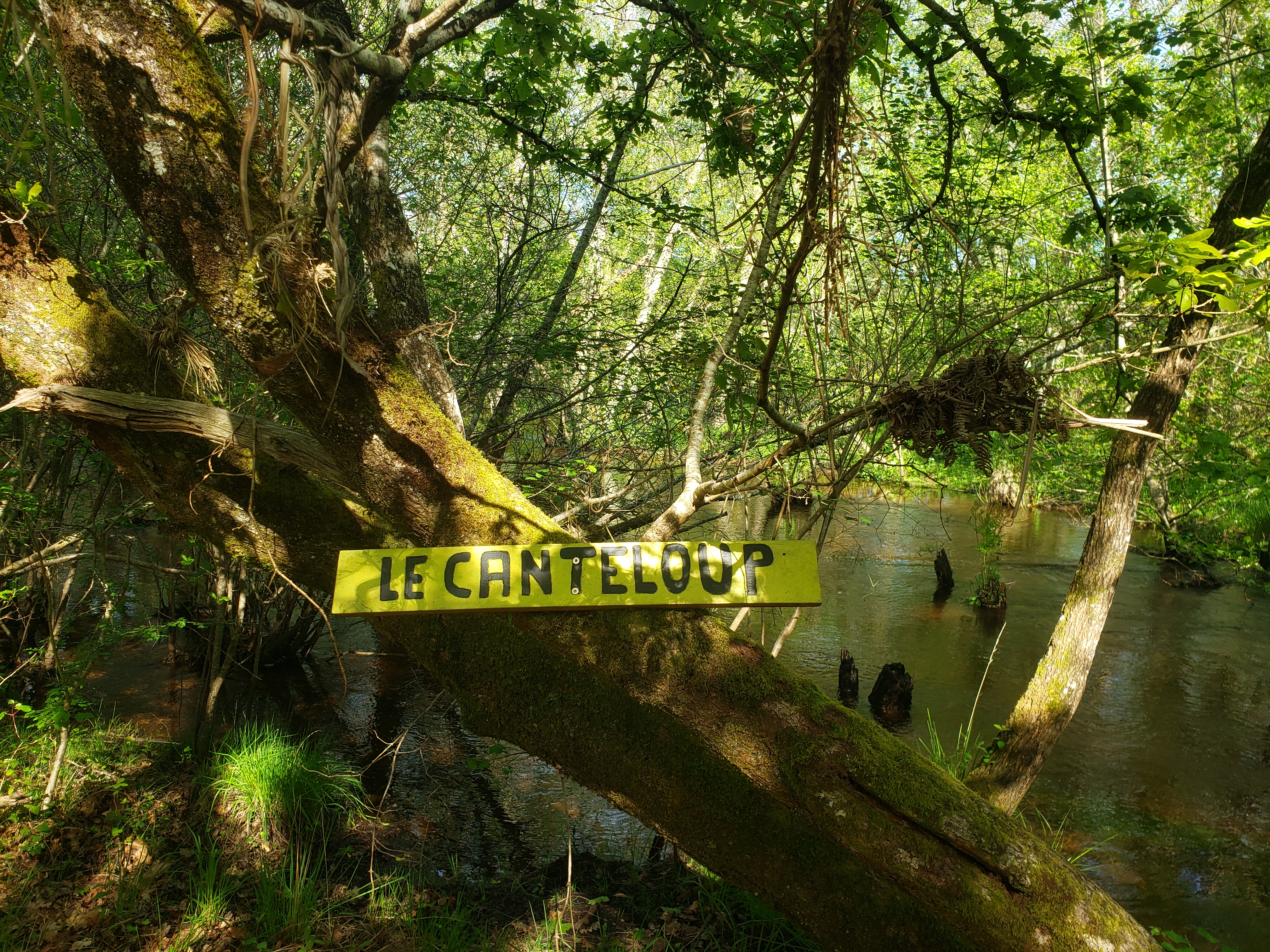 Le Canteloup à Bouricos