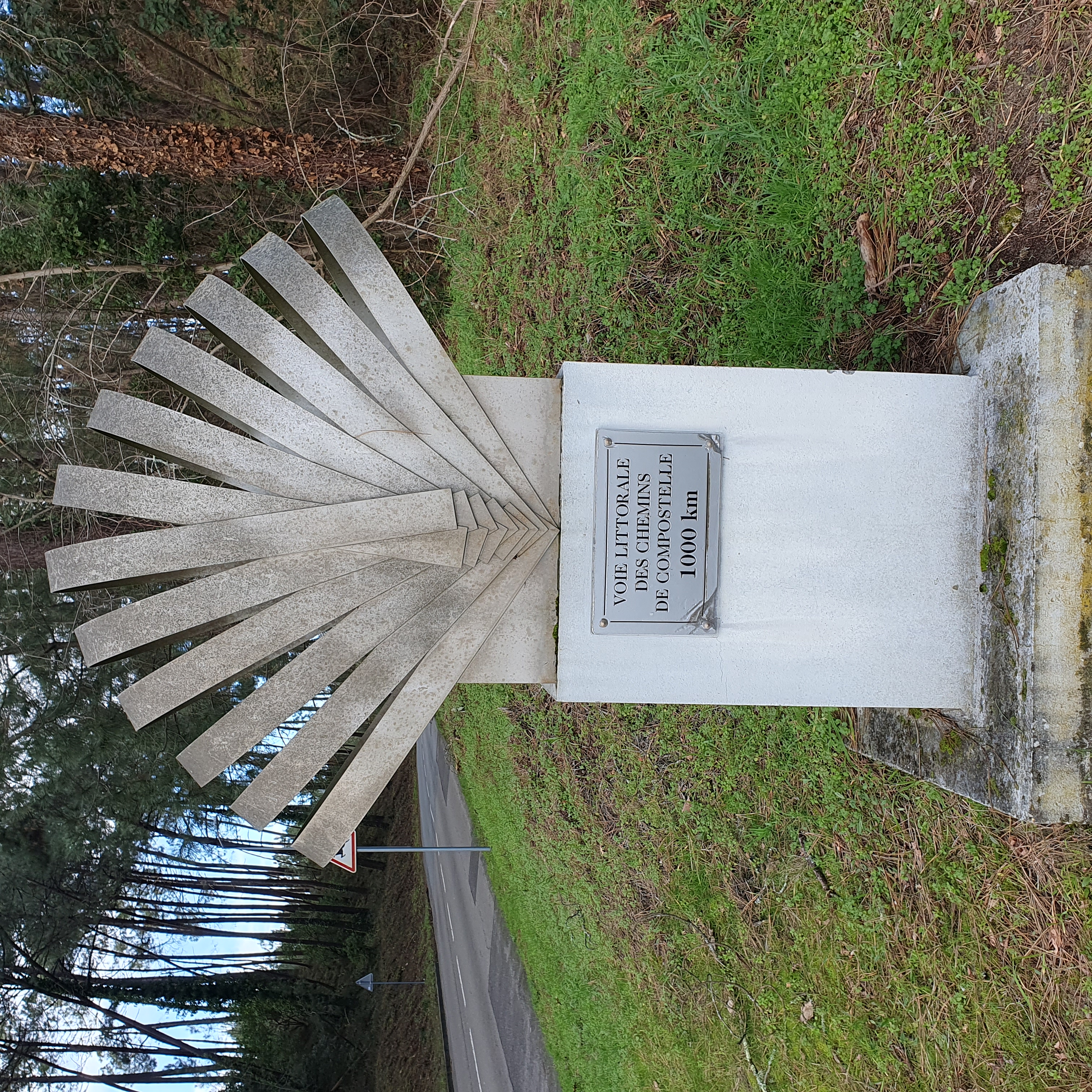 Coquille de St Jacques de Compostel