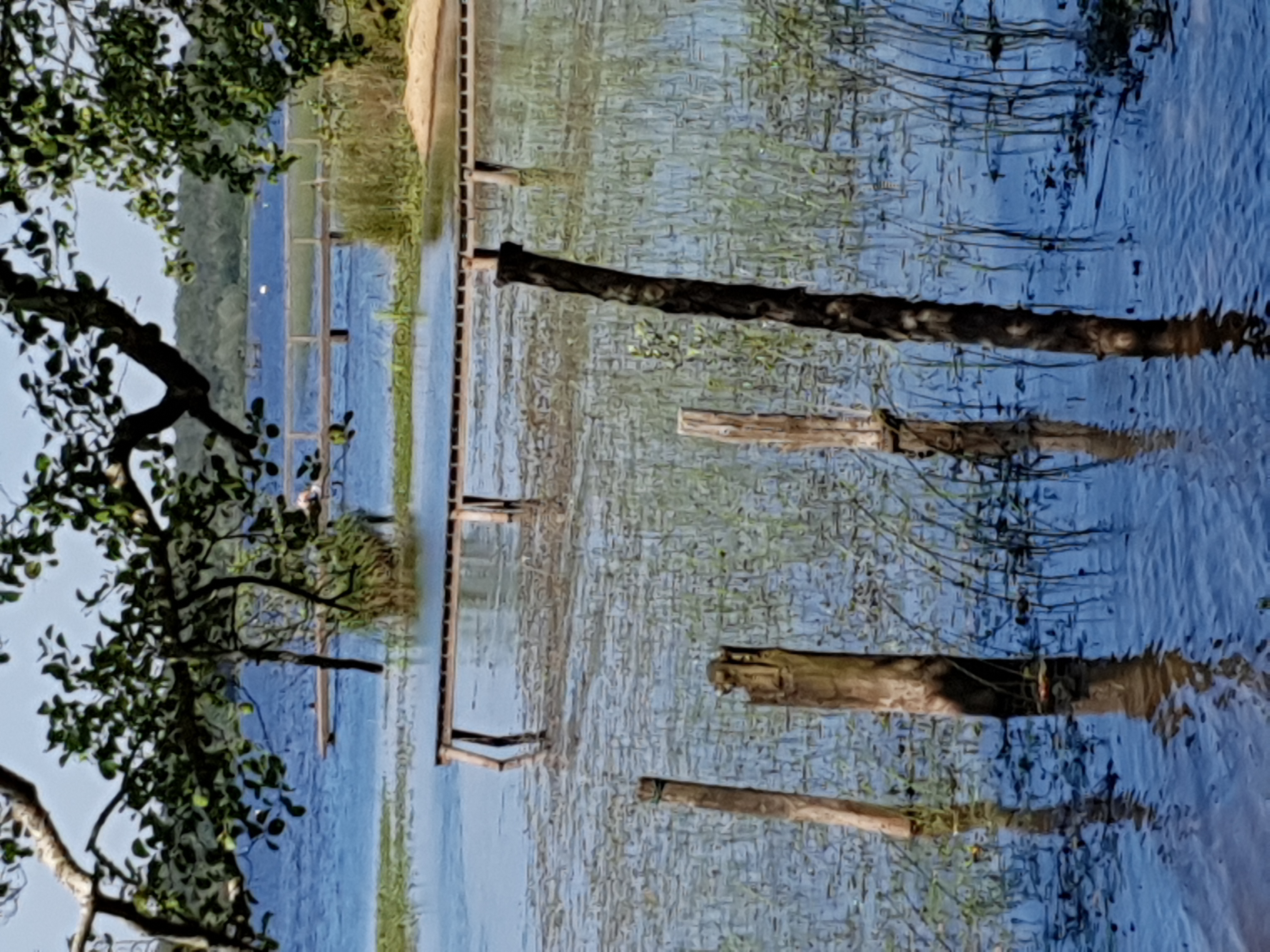 Les faux jumeaux (les pontons)