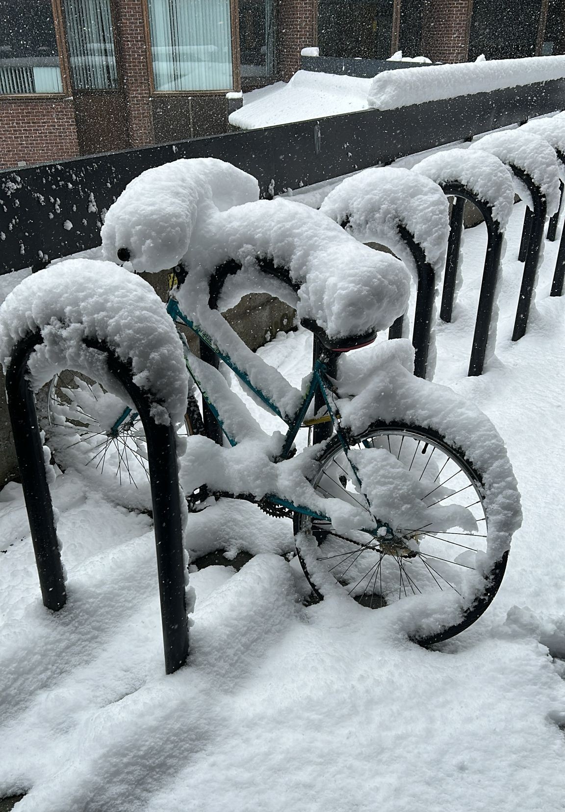1ères neige à Montréal 11/2025