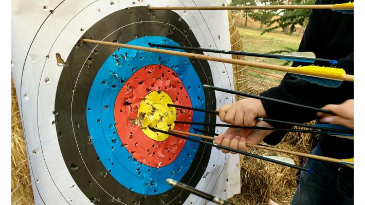 стрели, ударили целта