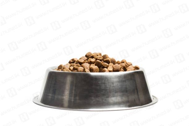 Champion Puppy - 3kg (Dog food dry) 4 Champion Puppy - 3kg (Dog food dry) - Image 4