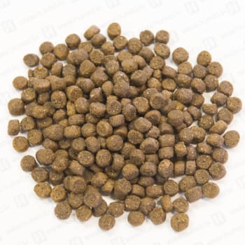 champion puppy dog food 3kg