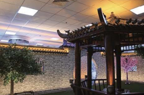 Lighting Collections