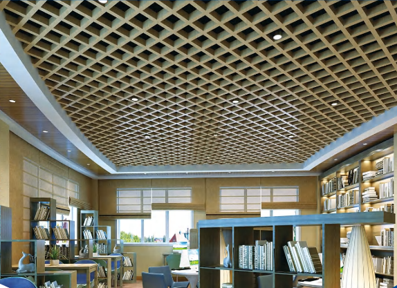 Ceiling Catlogue
