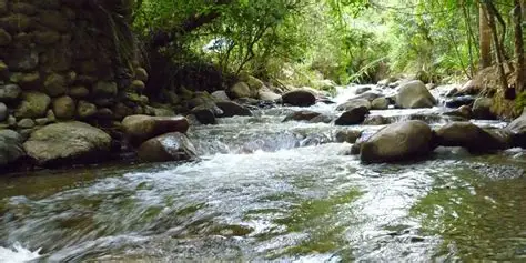 Paisaje natural del valle de Vilcabamba.