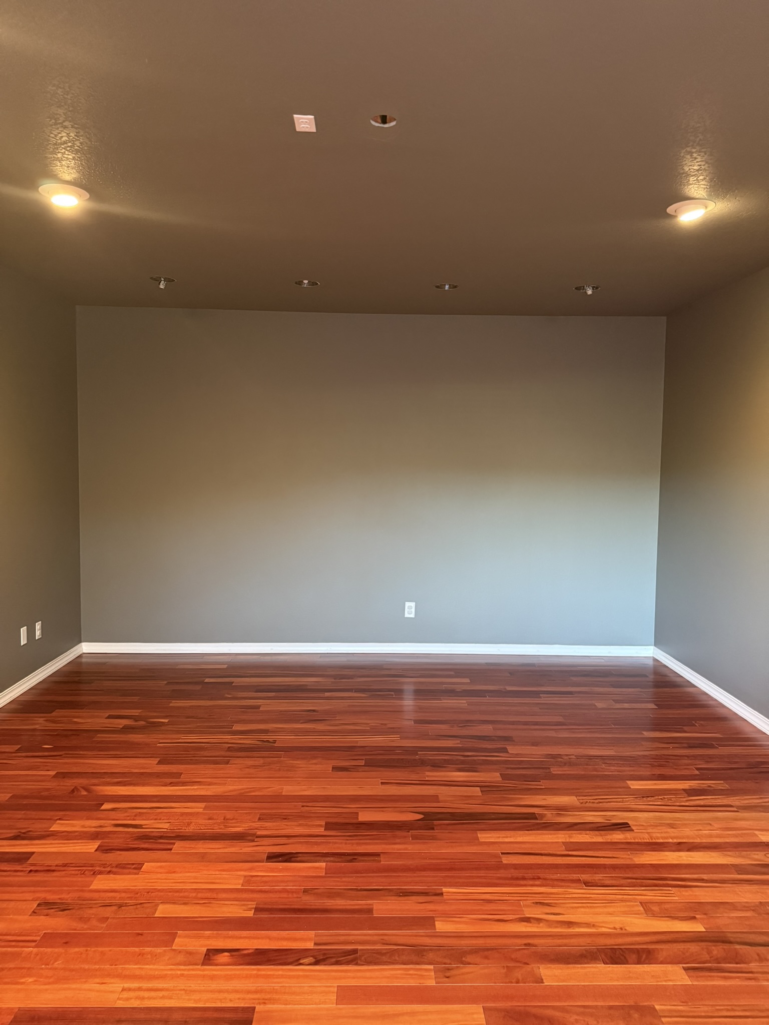 Ultimate Bonus Room — image 2