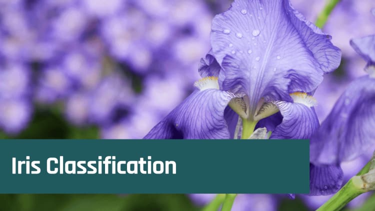Iris flower classification with TinyML