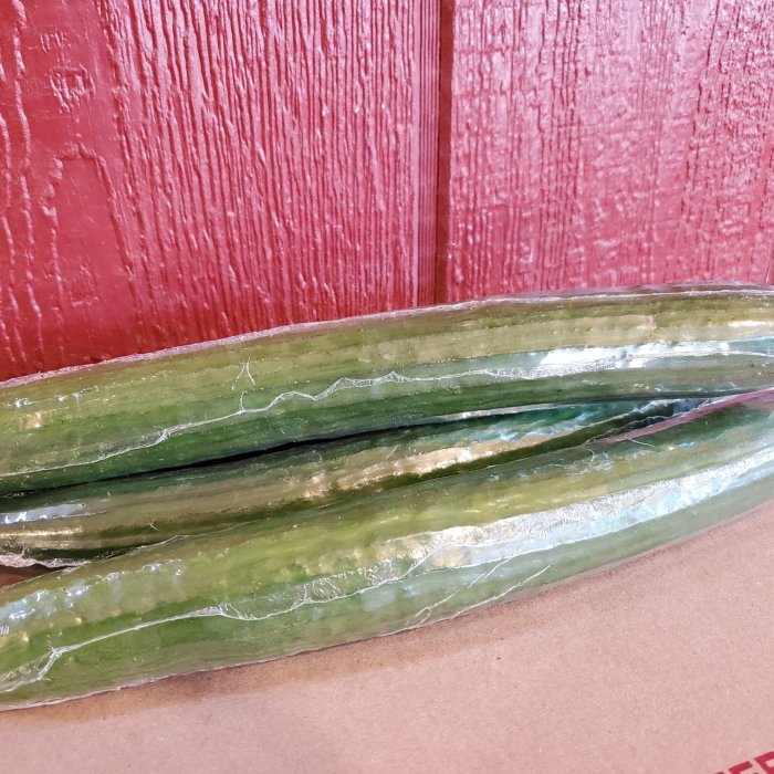 Local English Cucumber Large