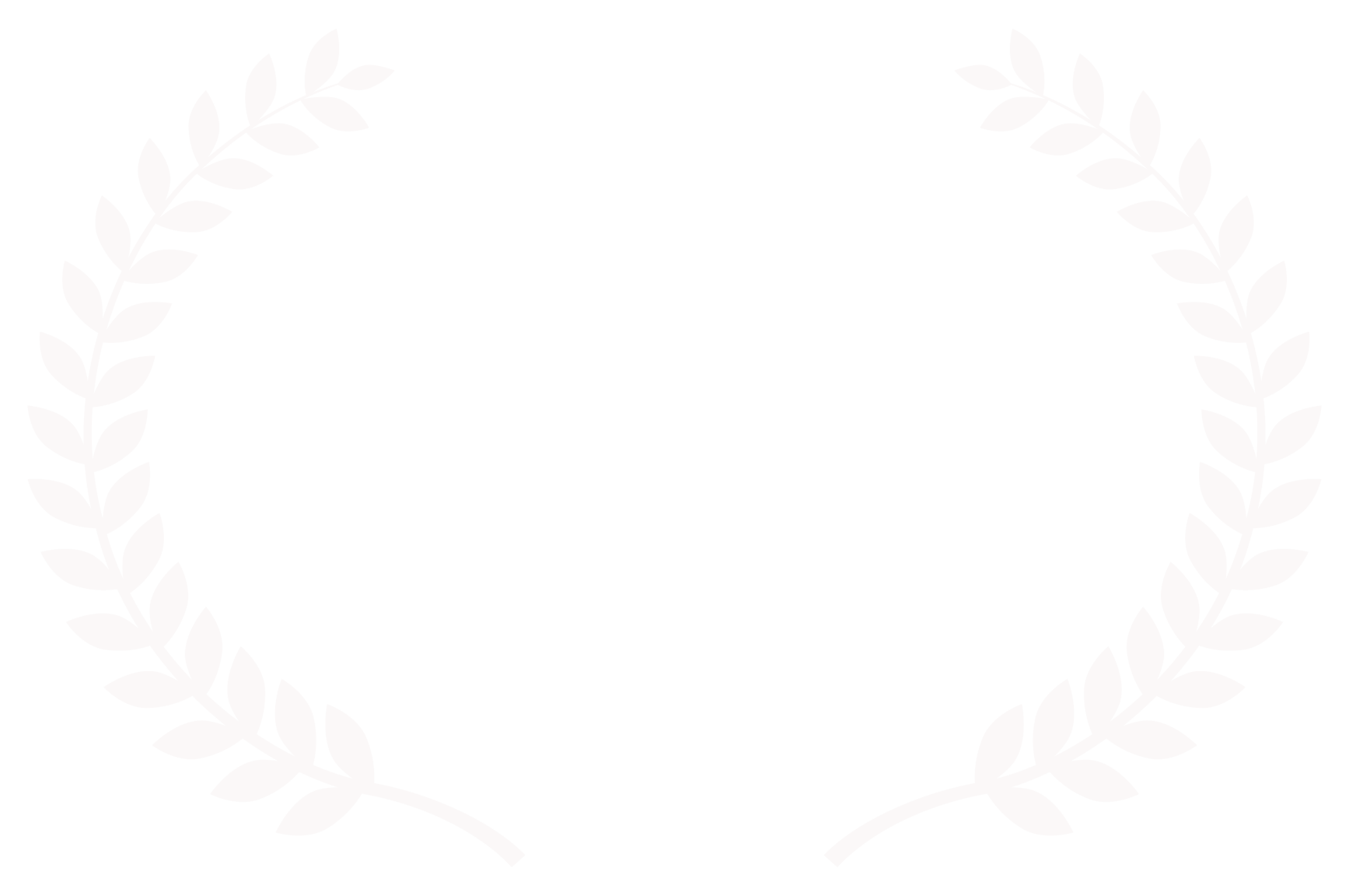BOSDFF Best Film Editing Award